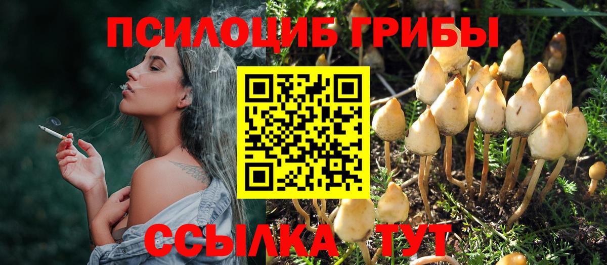 Бошки Шишки  Звенигород  Меф кристаллы  Вход с VPN  Кокаин 