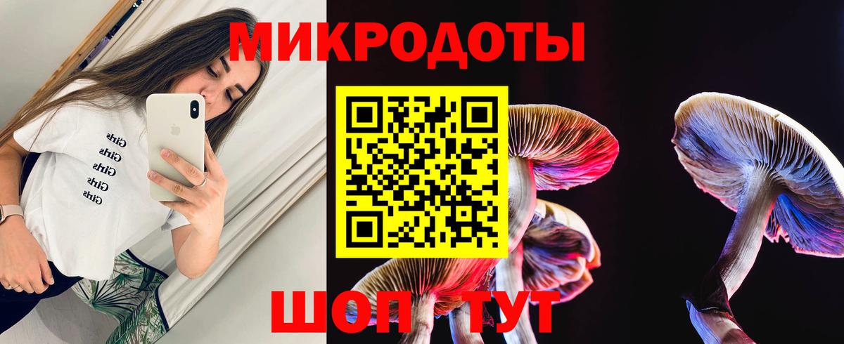Звенигород  Галлюциногенные грибы мицелий  Псилоцибиновые грибы Cubensis  Вход с VPN 